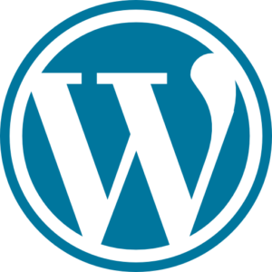 Wordpress SEO icon