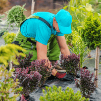 Gardening Services